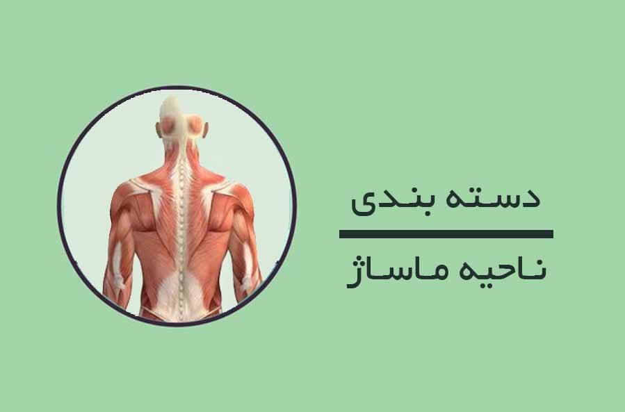 محصول ویژه ۲