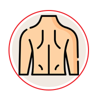 عضلات پشتی | کمر