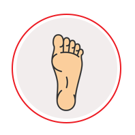 کف پا | انگشتان